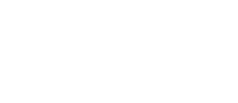 PALIS